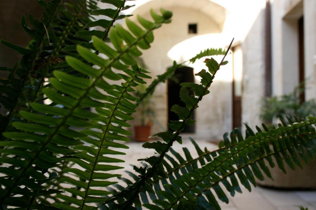 Dimora Storica "Casa Sicuro" Bed & Breakfast Martano Exterior photo