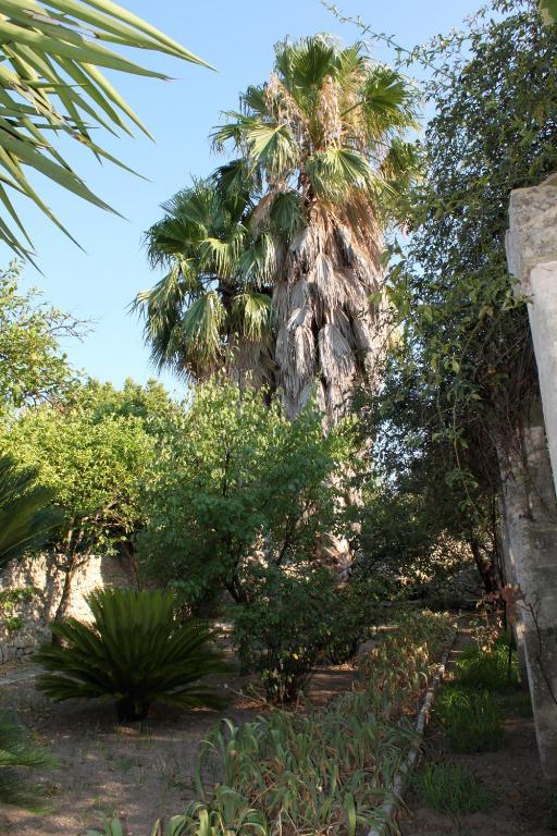 Dimora Storica "Casa Sicuro" Bed & Breakfast Martano Exterior photo